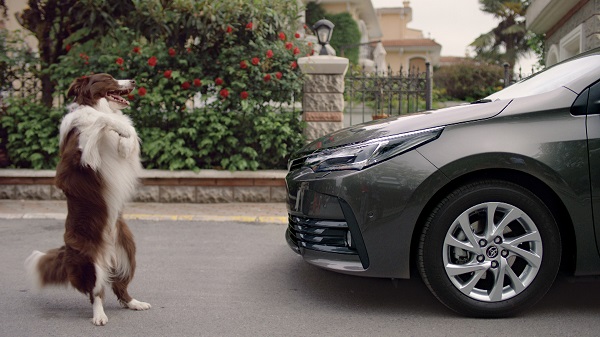Türklerin Çektiği Yeni Corolla Reklam Filmini Avrupa İzleyecek