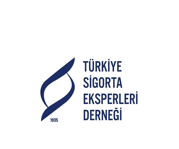 Türkiye Sigorta Eksperleri Derneği Kar Yağışında Aracı Hasar Gören Sürücüleri Bilgilendirdi