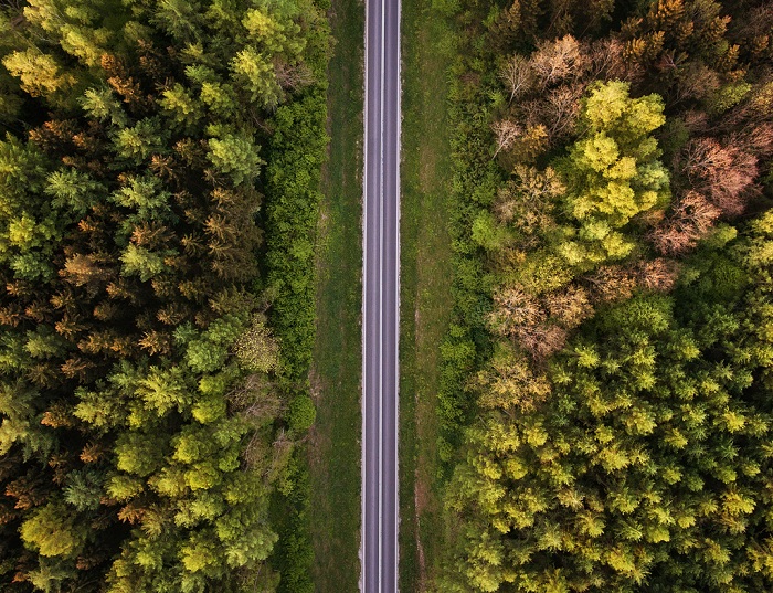 LeasePlan Türkiye’den Sürdürülebilir Bir Gelecek ve Sıfır Emisyon İçin Örnek Adım!